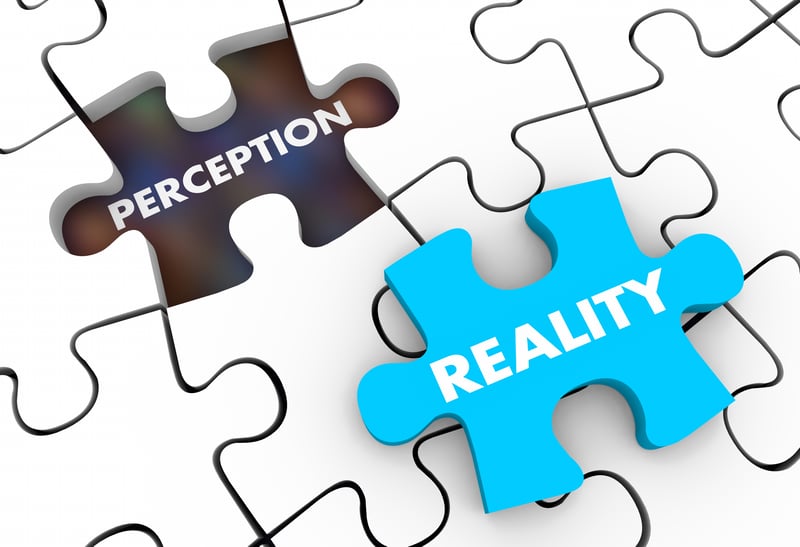 perceptions vs reality